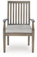 Rainier Ranch Arm Chair With Cushion (2/CN)